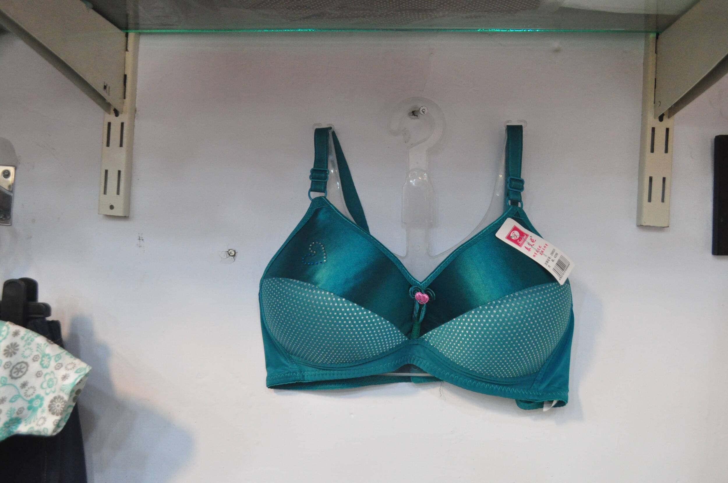 Ladies Padded Form Bra