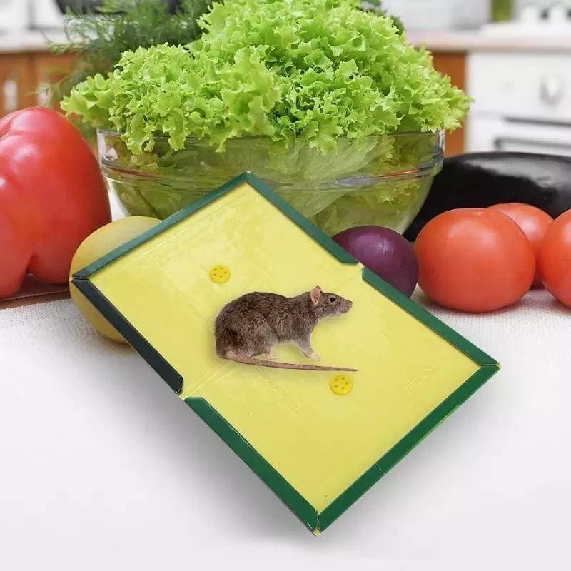 Reusable Expert Catch Mouse Glue Traps