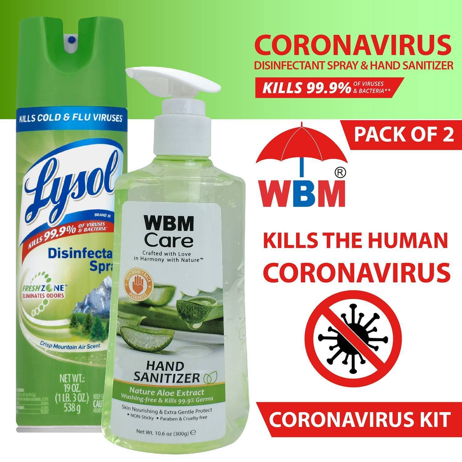 Lysol Disinfectant Kit By WBM | Lysol Spray Crisp Mountain Air Scent & Foaming Hand Wash (Apple & Kiwi) - Kills 99.9% of Viruses