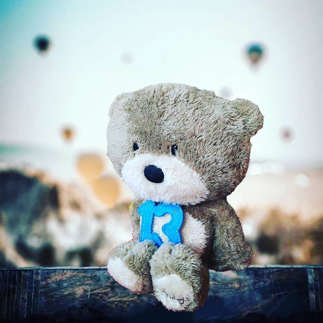 Teddy Bear