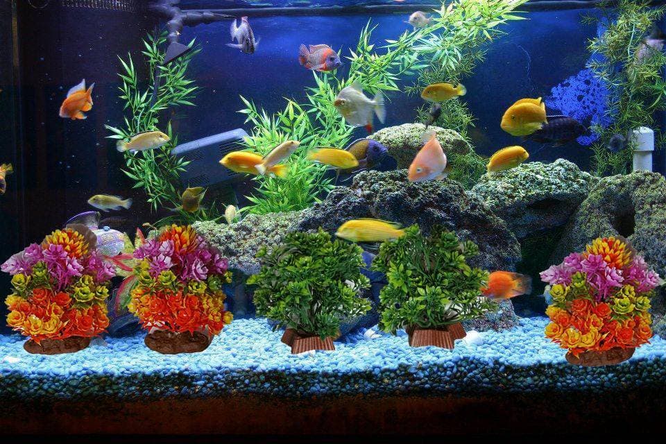 Pack Of 5 Pieces Artificial Underwater Plant Grass With Stone For Aquarium Fish Tank