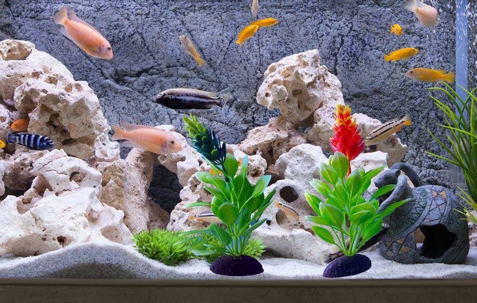 Pack Of 5 Pieces Artificial Green Underwater Plant Grass With Stone For Aquarium Fish Tank