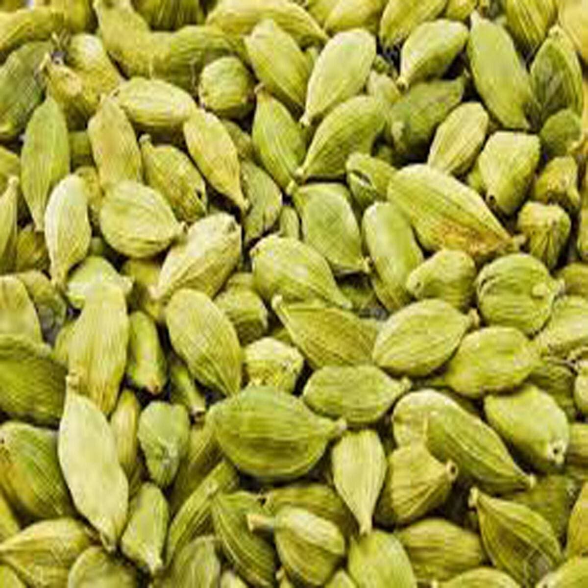Green Cardamom Choti Elaichi Fresh And Balmy 25 Grams