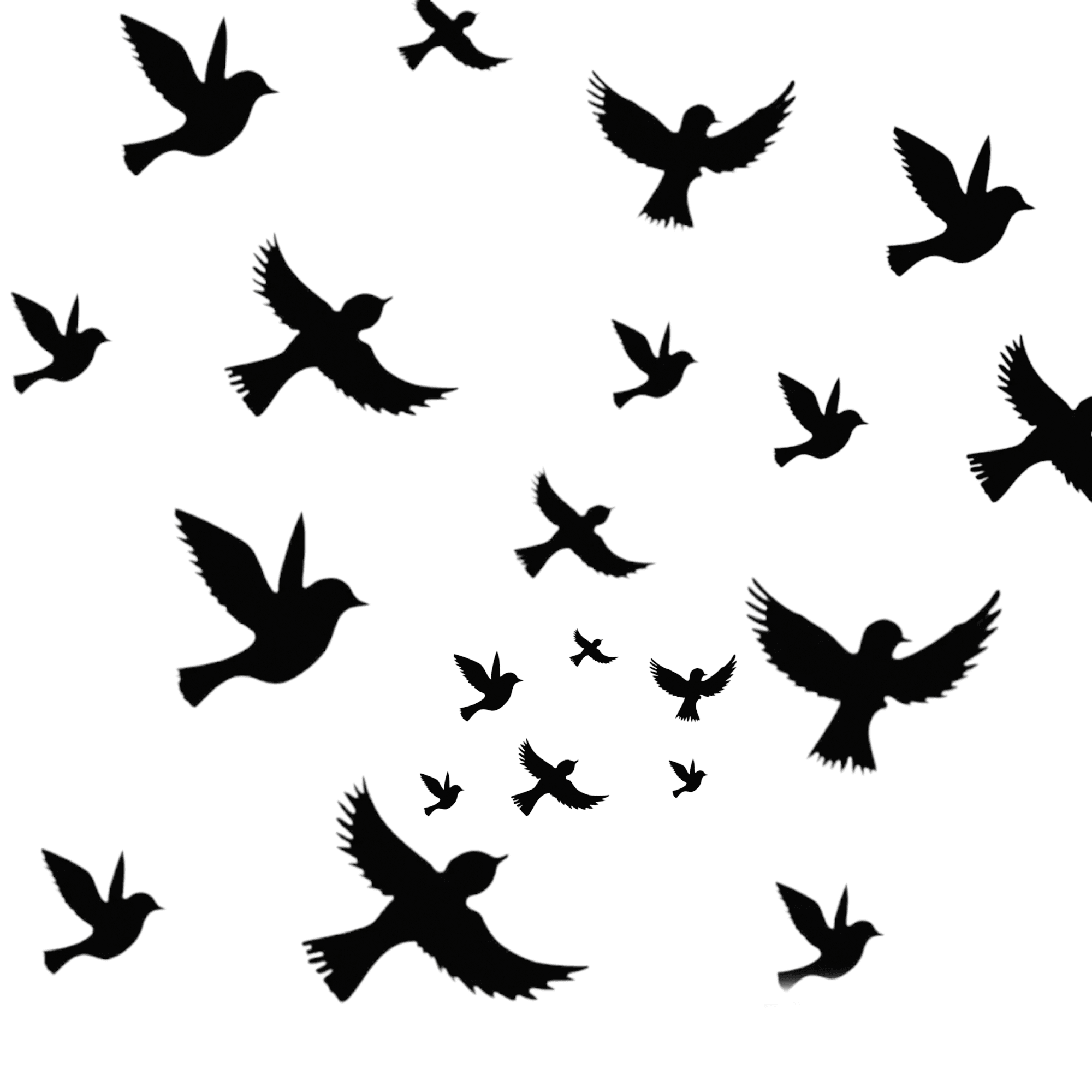 Different Sizes 3D Flying Black Wooden Sparrow For Wall Decor - Pack Of 24 PCS