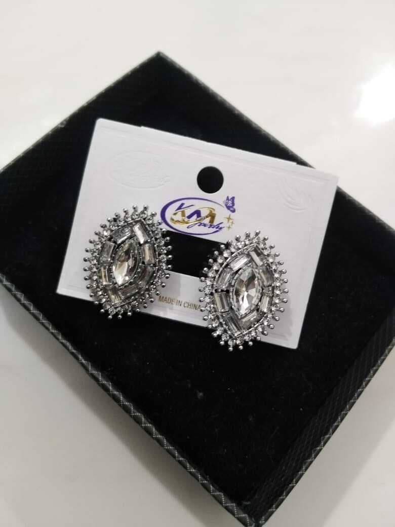 Leef Style Metal Earring For Women - 1 Pair