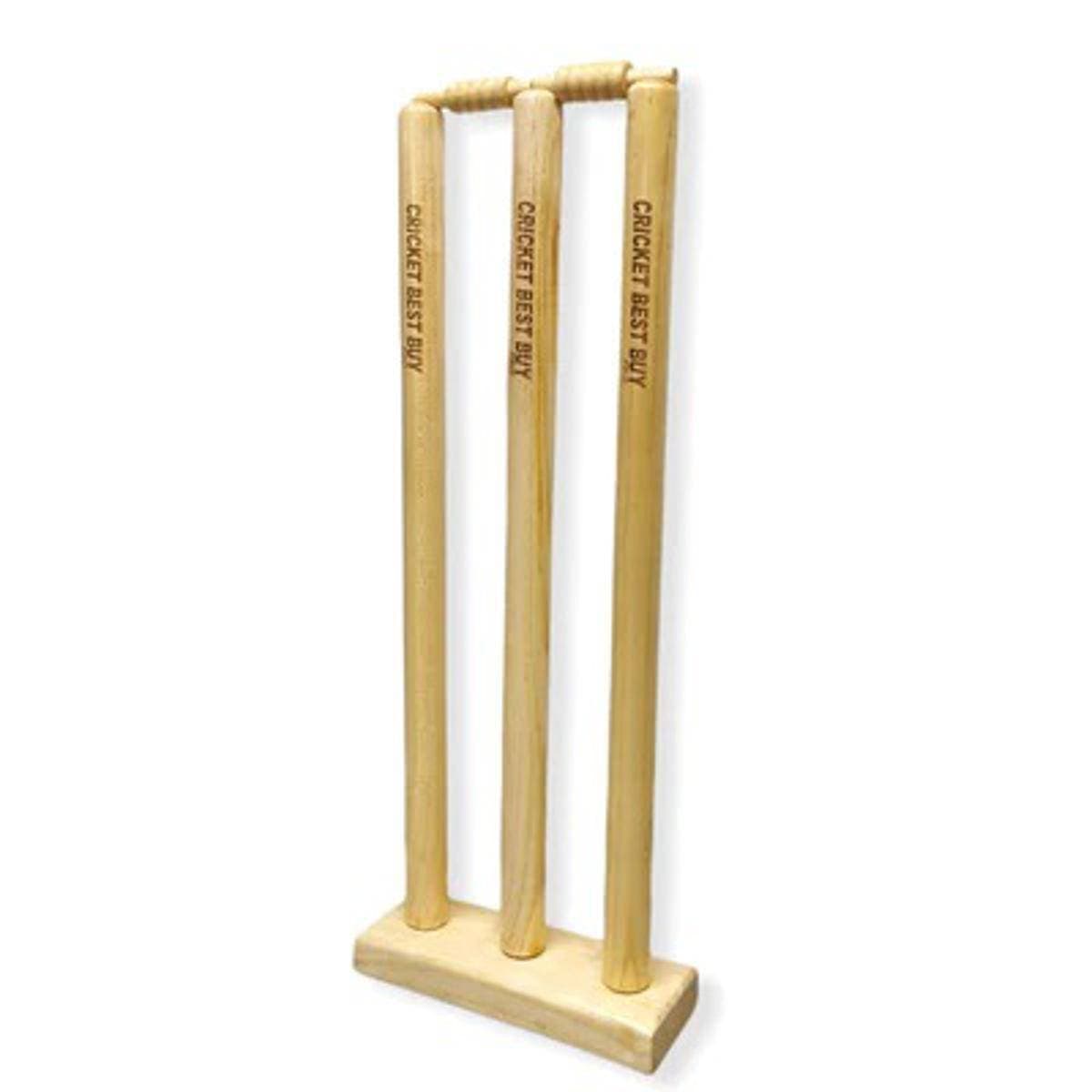 Plastic Cricket Wicket Big Size